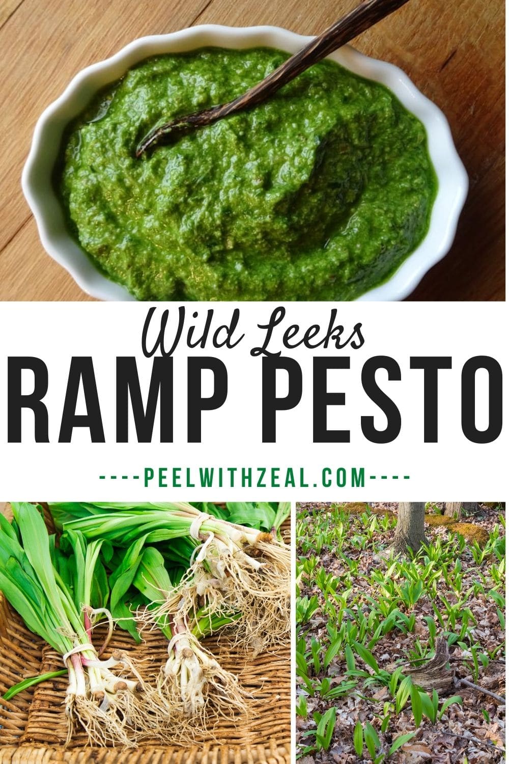 Wild Ramp Pesto Ramp Pesto -How to Make the Best Ramp Pesto - Peel with Zeal