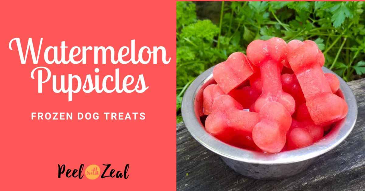 Frozen Yogurt Dog Treats Peel with Zeal