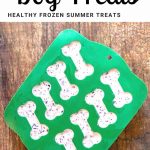 frozen dog treat recipe for pinterest