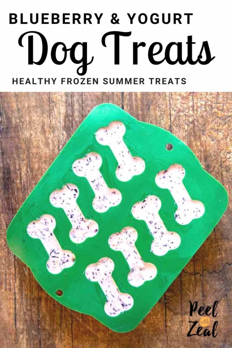 frozen dog treat recipe for pinterest