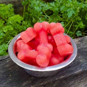 watermelon pupsicle recipe in a bowl