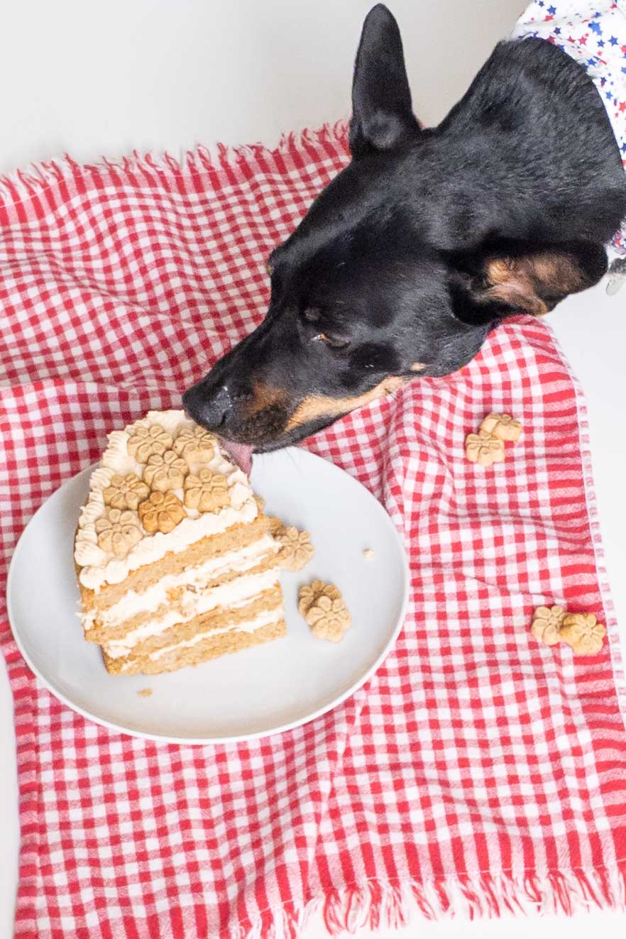 can dogs eat human cakes