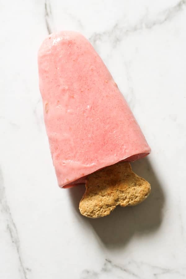 dog popsicle