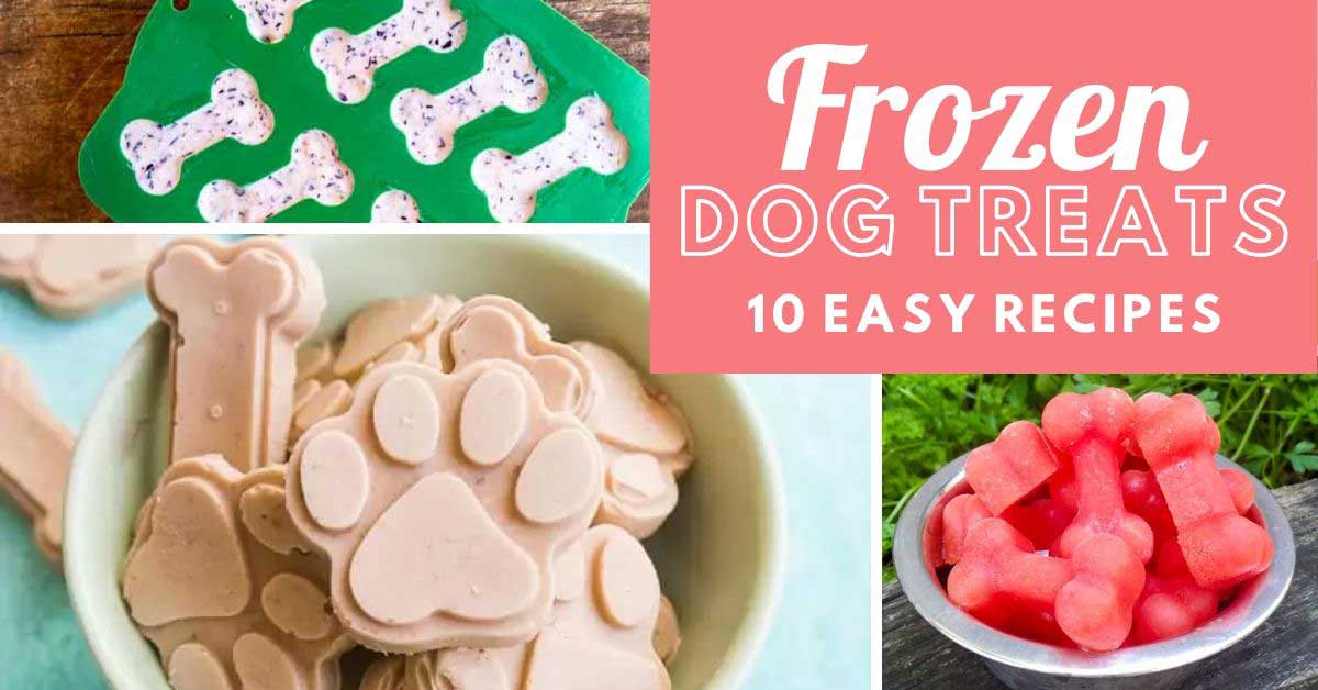 5 Frozen Dog Treat Ideas & Recipes – Woof
