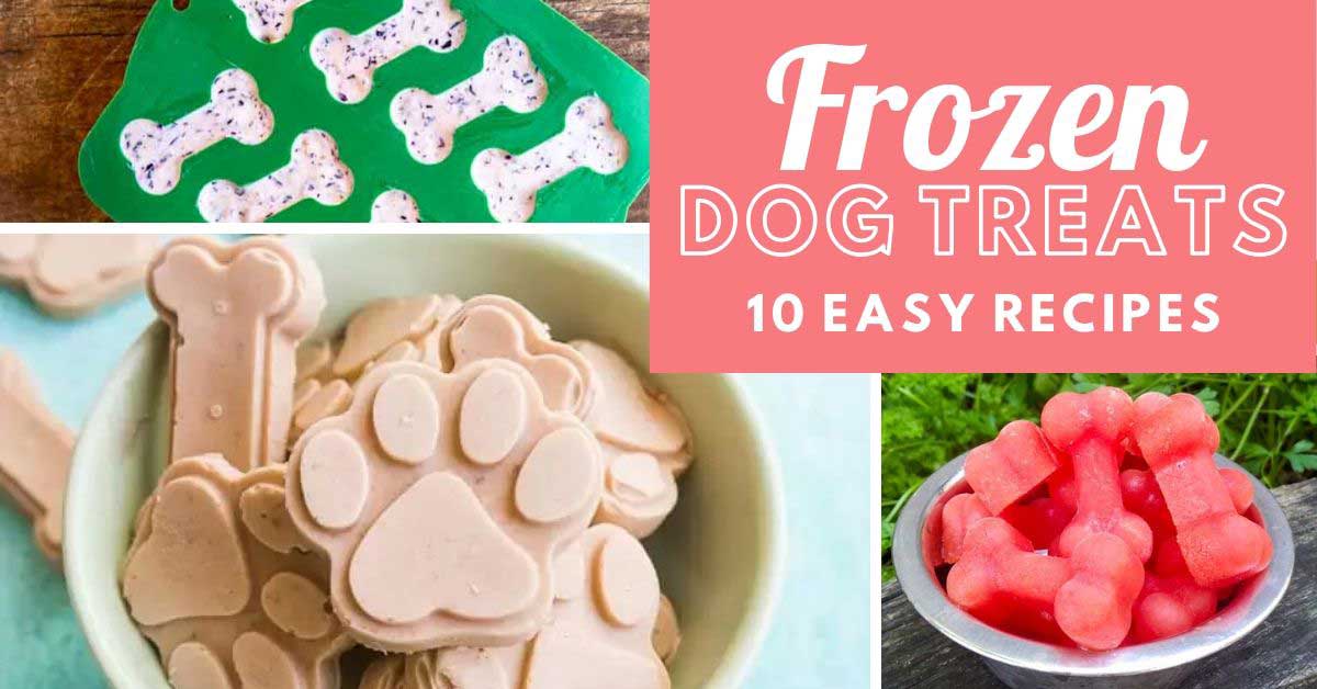 10 10 Best Frozen Dog Treat Recipes Peel with Zeal