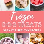 frozen dog treat collage