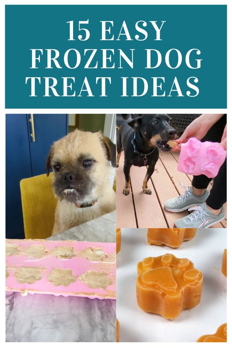 Dogs eating homemade treats.