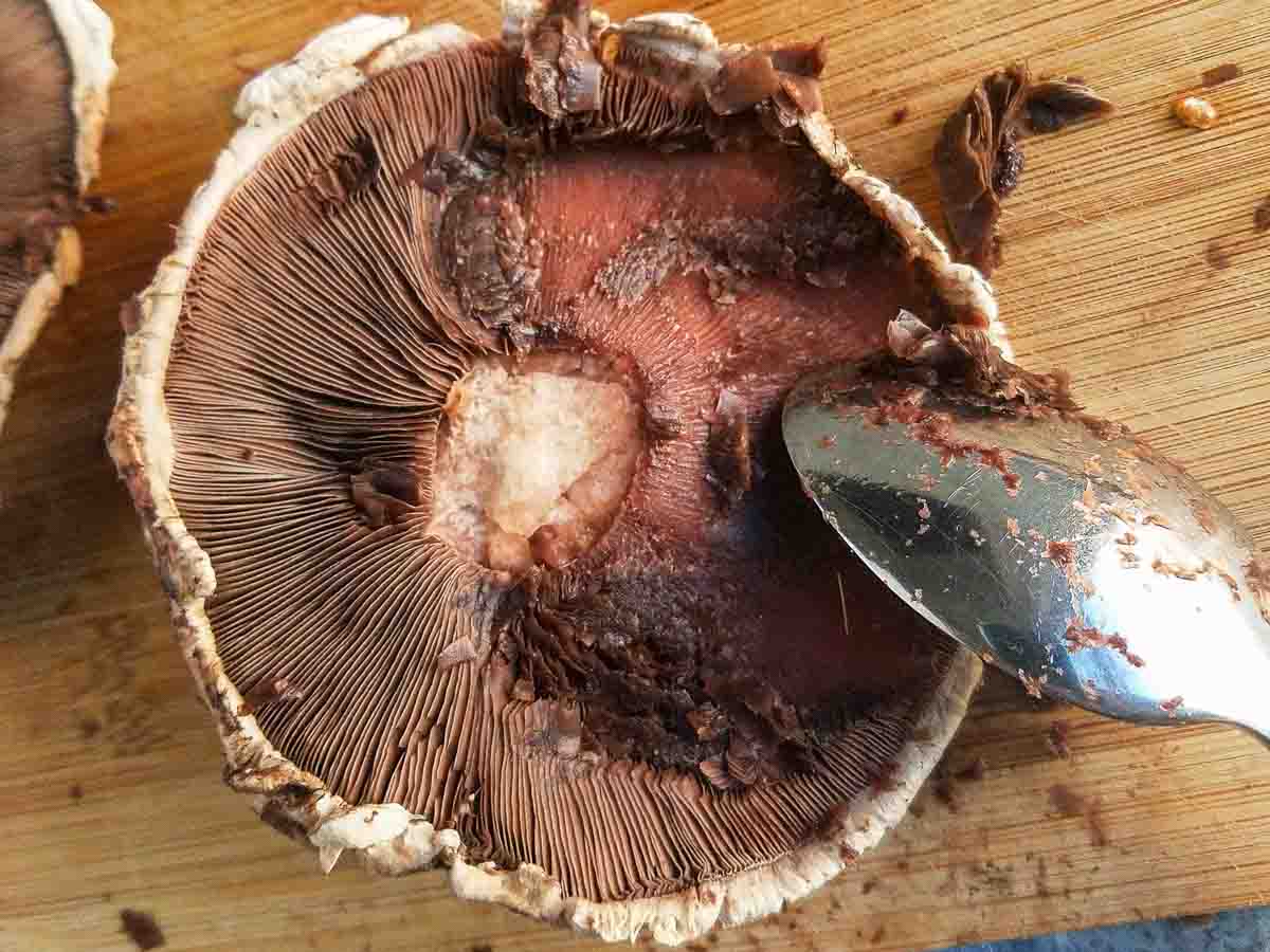 using a spoon to remove hte gills of a mushroom
