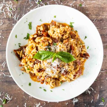 vegetarian tomato risotto in white bowl