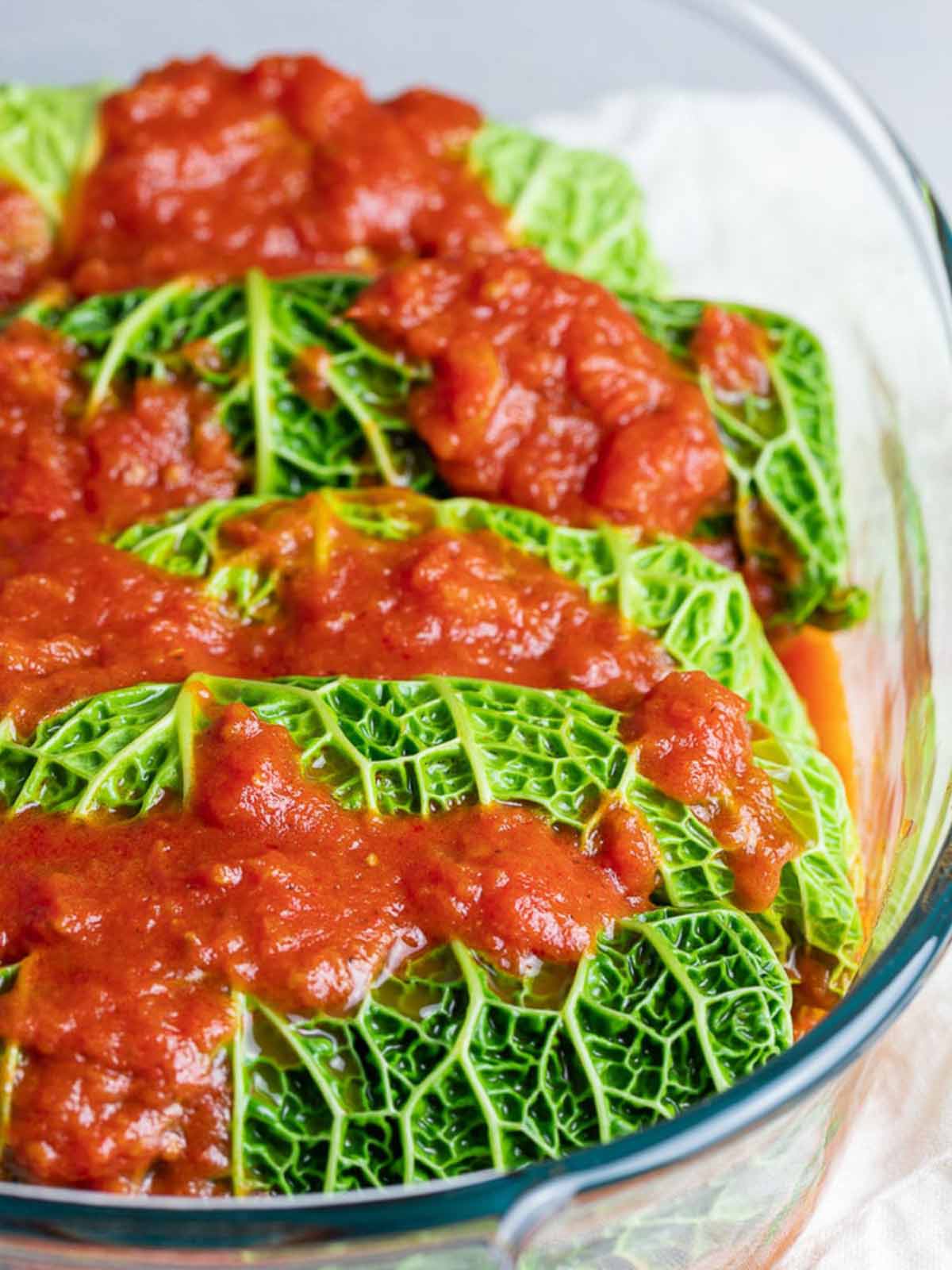 cabbage rolls in a bowl with red sauce