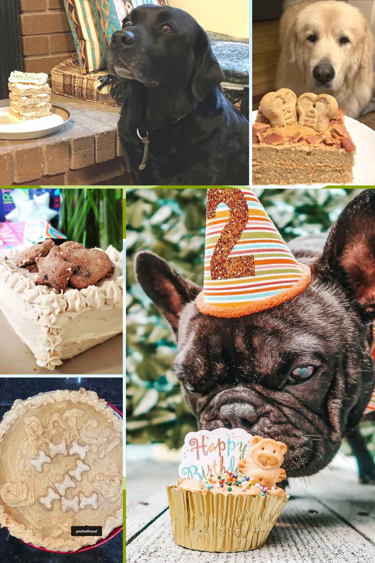 dog birthday cakes made by readers