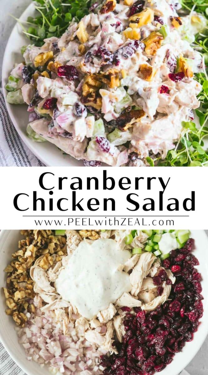 Top image showcases a delicious cranberry chicken salad elegantly arranged on a bed of fresh greens. The bottom image reveals the flavorful ingredients: walnuts, tart cranberries, crisp onions, and tender chicken, all mixed with a rich creamy dressing in a bowl.