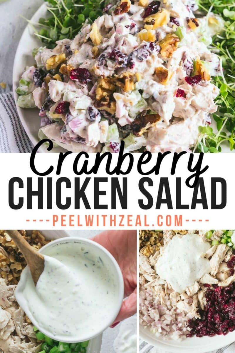 Cranberry chicken salad, garnished with walnuts and drizzled with dressing, is artfully displayed. Under the heading "Cranberry Chicken Salad," you’ll find additional images showcasing the fresh ingredients and creamy dressing being elegantly mixed together.