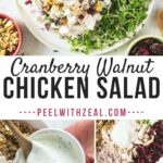 cranberry chicken walnut salad over lettuce.