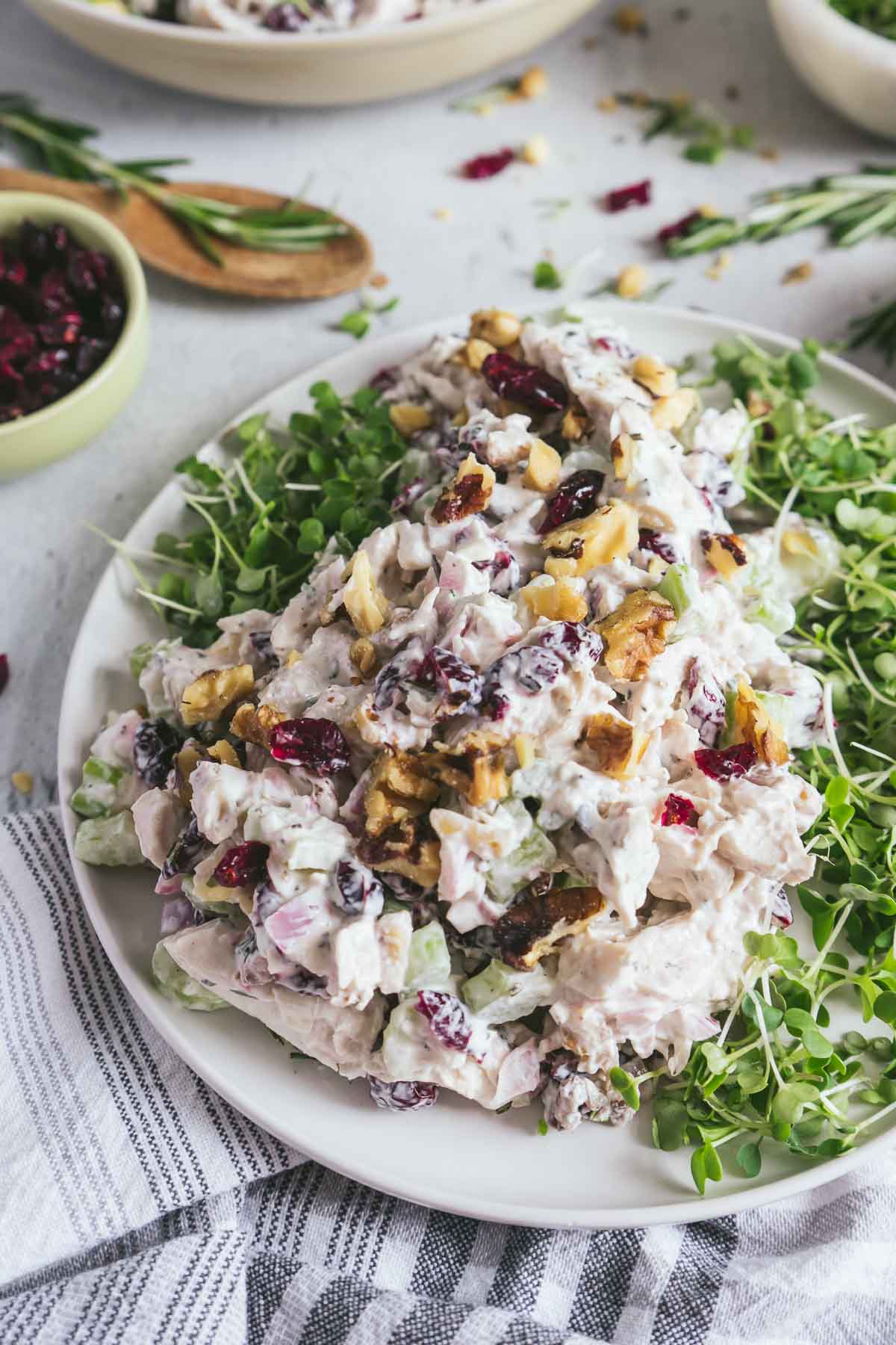 Close up of prepared chicken salad and microgreens. 