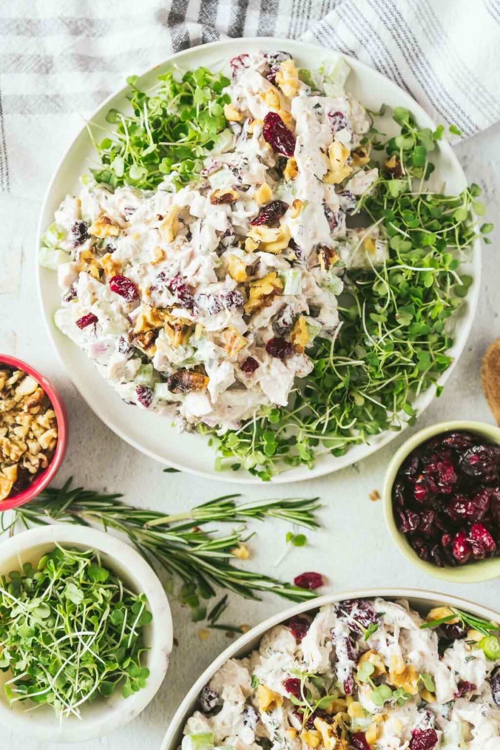 Cranberry Chicken Salad with Walnuts Peel with Zeal