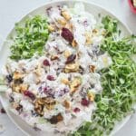 cranberry chicken salad with walnuts on plate over greens.