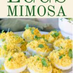 eggs mimosa on a white plate,