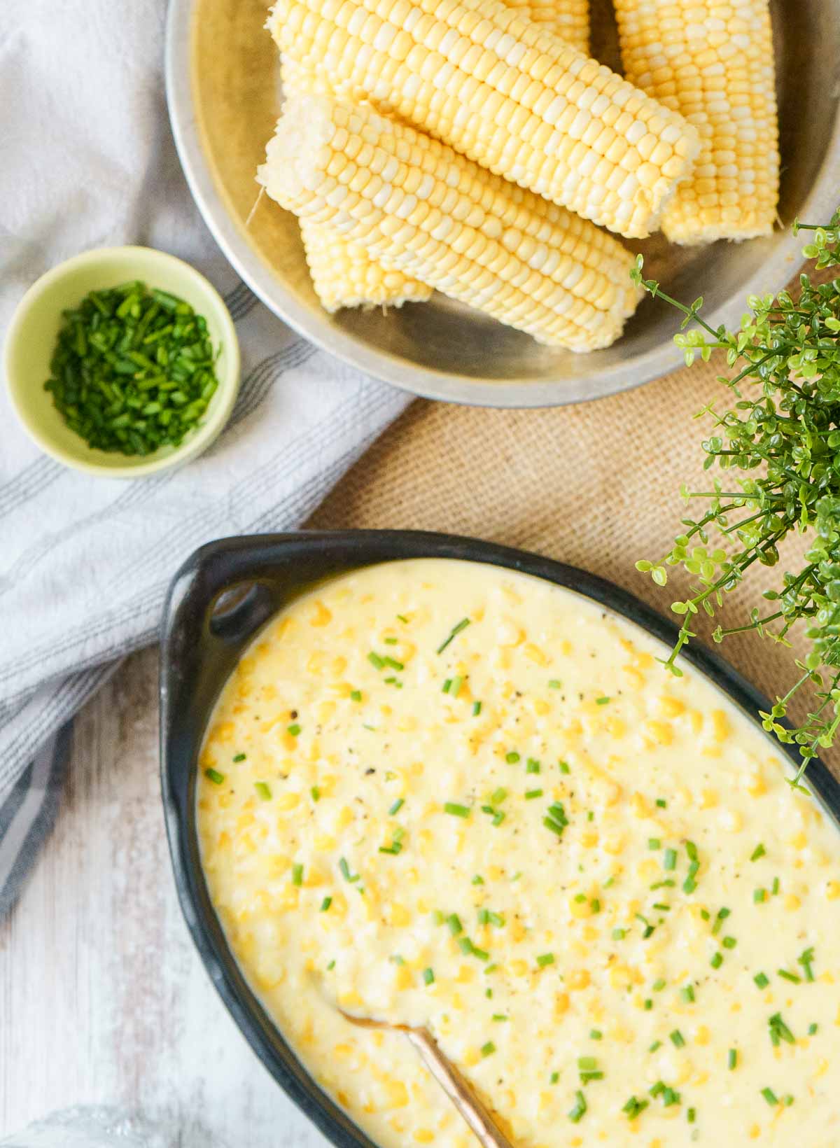 creamed corn in serving dish with fresh corn cobs to the side. 