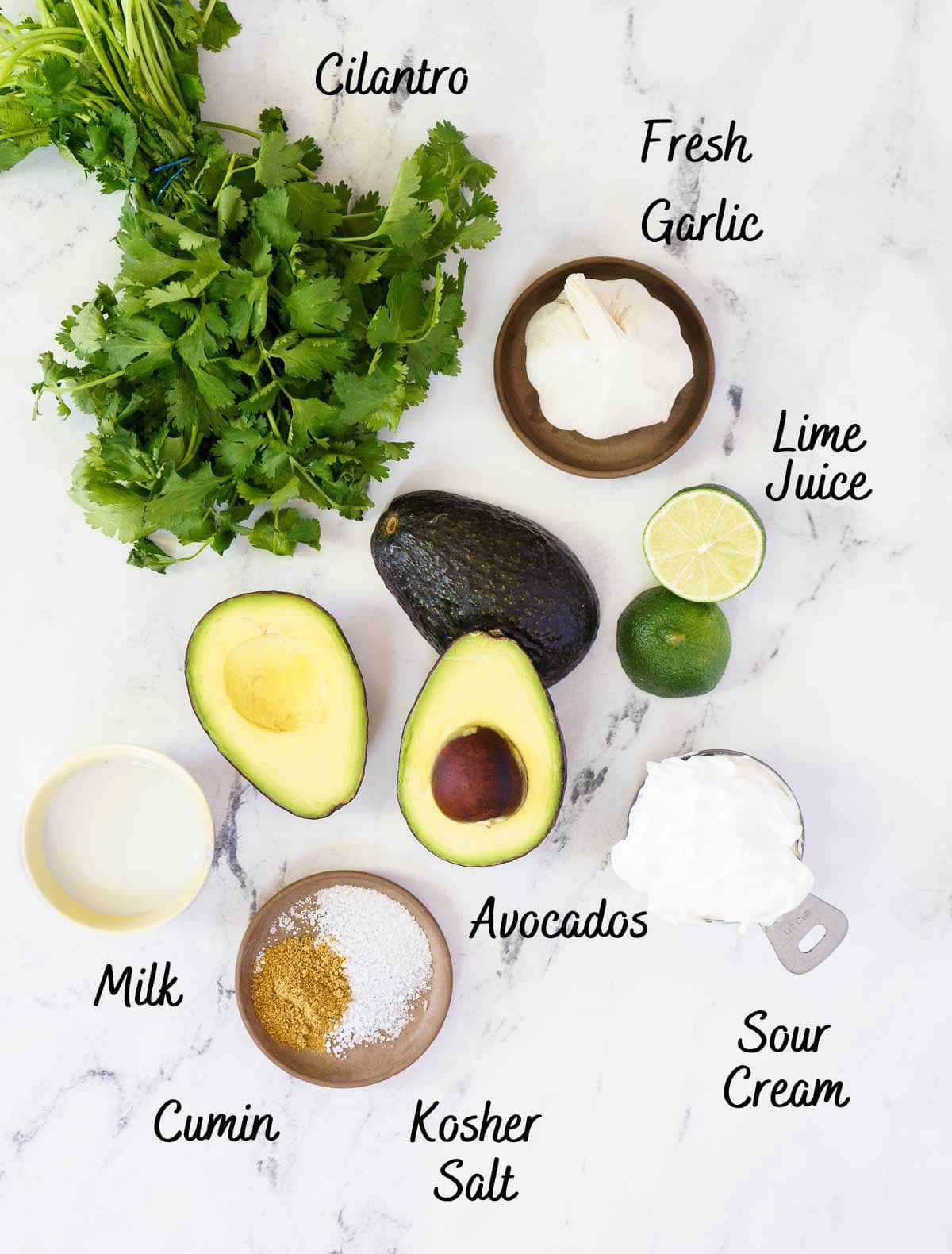 recipe ingredients on counter