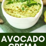 avocado crema in a bowl