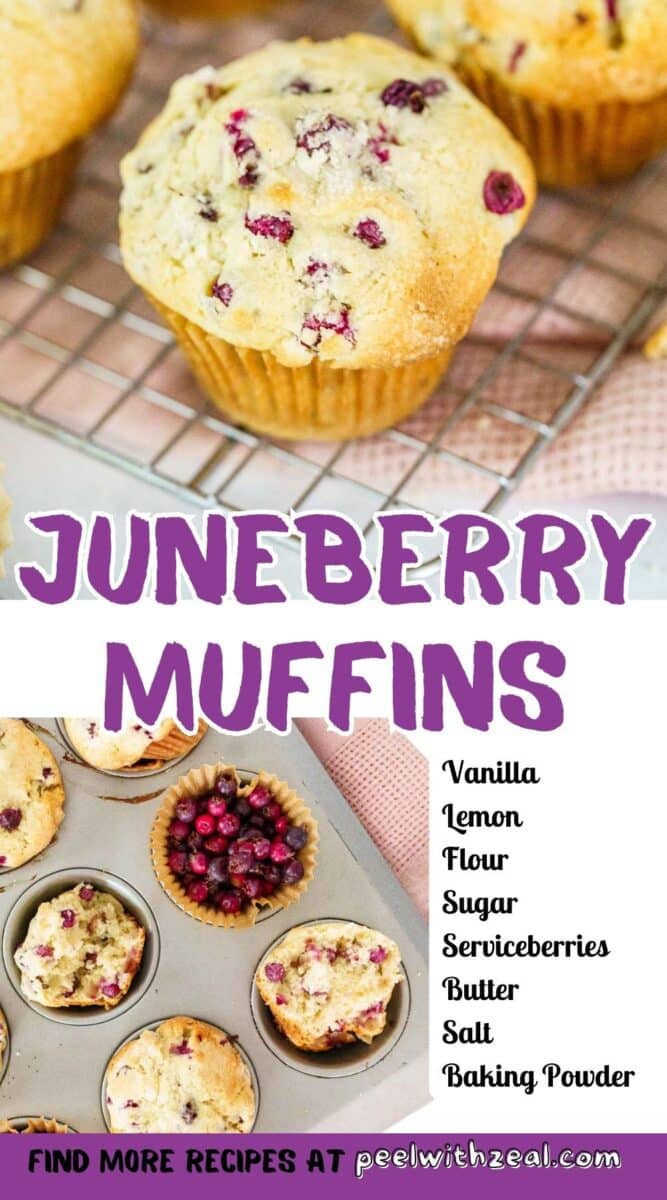 juneberry muffin on a cooling rack.