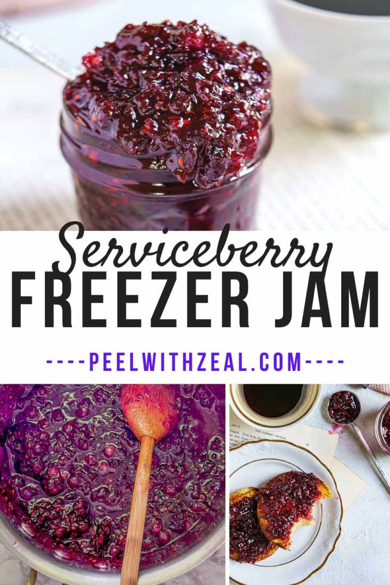 Serviceberry jam in jar