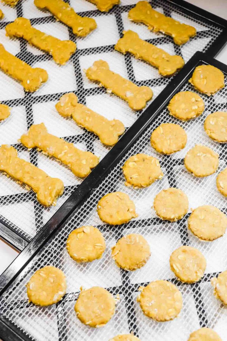 Easy Dehydrated Dog Treats Recipe Peel with Zeal