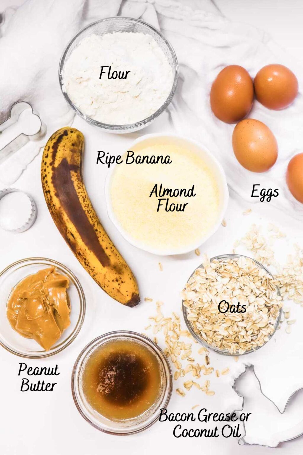 Easy Dehydrated Dog Treats Recipe Peel with Zeal