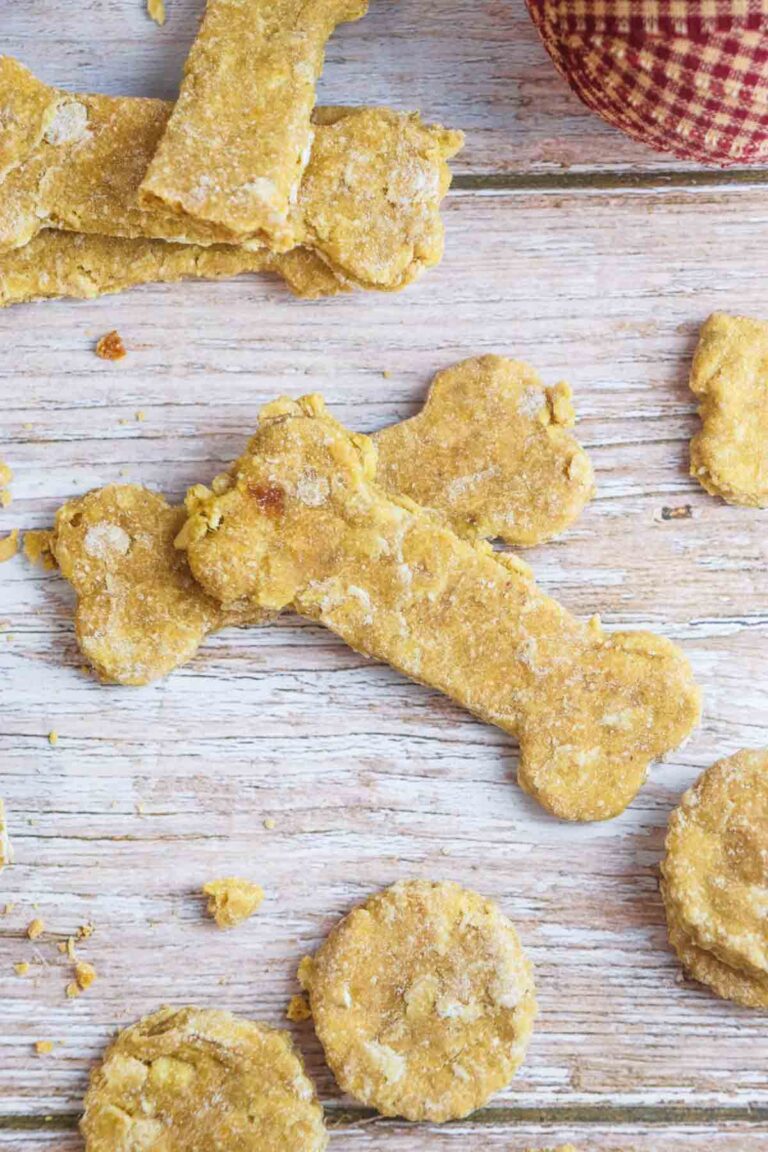 Easy Dehydrated Dog Treats Recipe Peel with Zeal