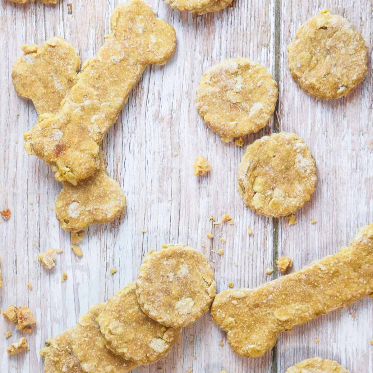 Easy Dehydrated Dog Treats Recipe- Peel with Zeal