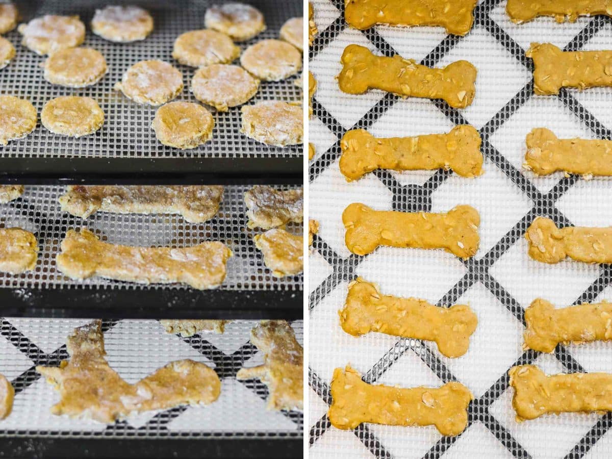 Round and bone-shaped dehydrated dog treats are arranged on mesh racks for drying; some appear partially baked, while others are still uncooked.