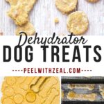 collage of homemade dog treats