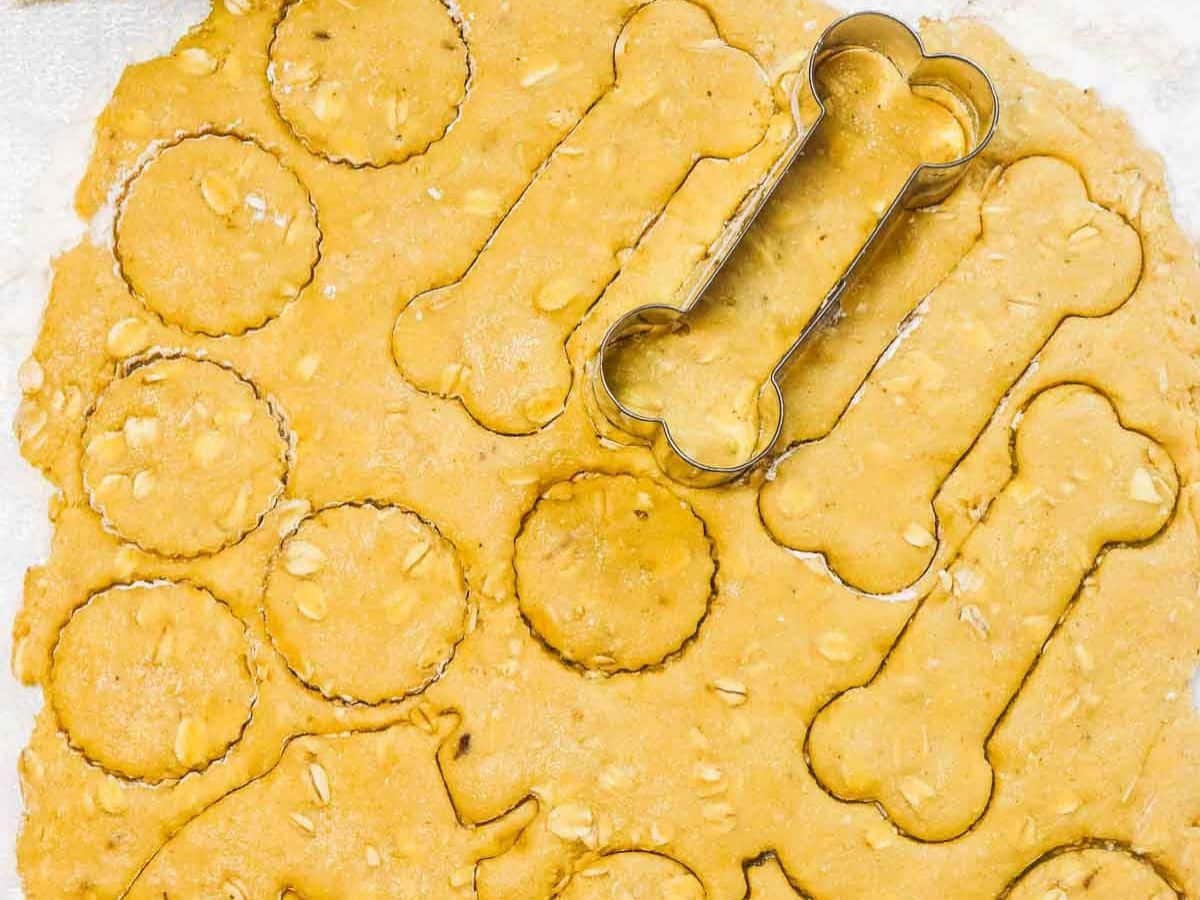 Cookie dough for Dehydrated Dog Treats is rolled out with bone-shaped and round cutters pressed in, ready to be cut and baked.