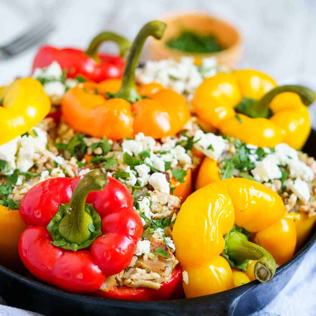 ground chicken stuffed peppers in a dark deep plate