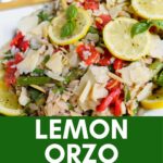 orzo salad on a plate