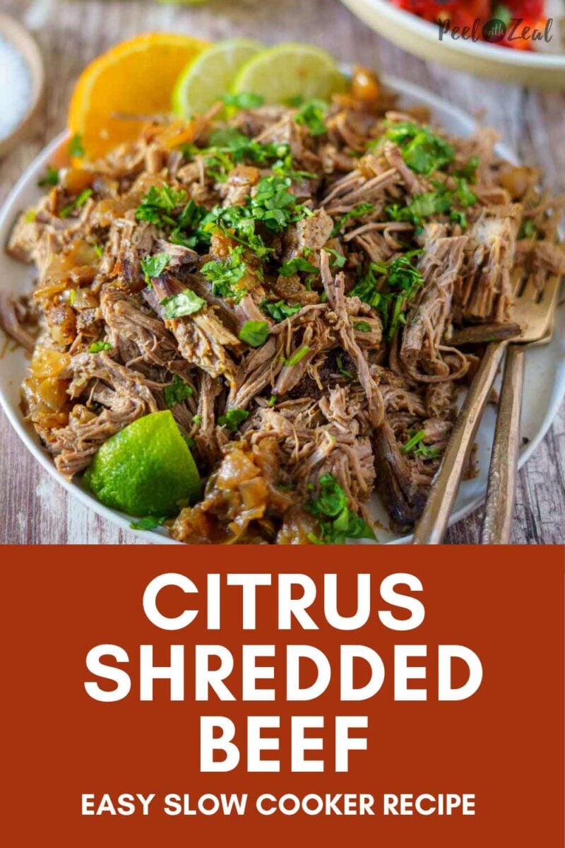 Shredded beef with garnished with cilantro on a plate.
