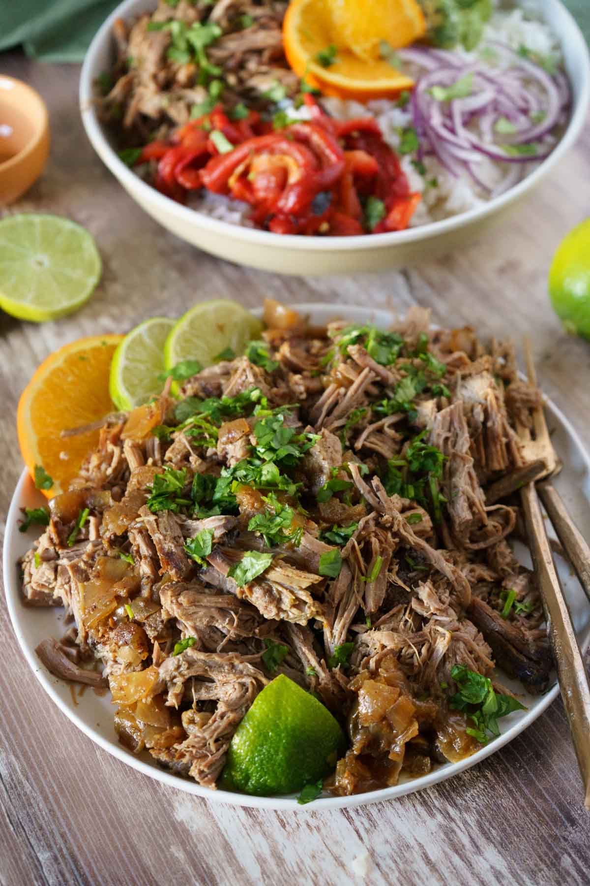 Shredded beef with garnished with cilantro on a plate.