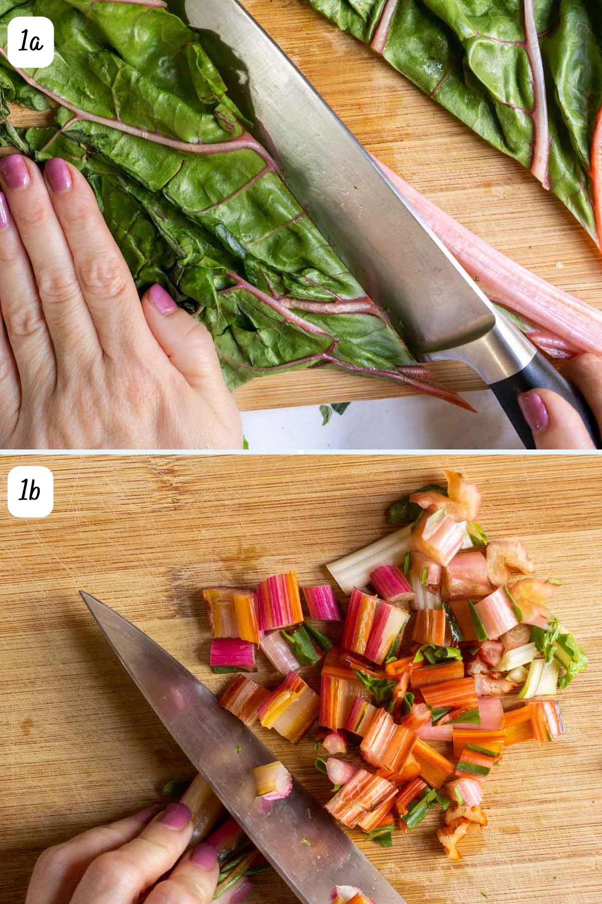 Person demonstrating how to remove stems and cut swiss chard.