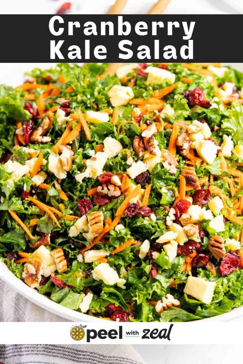 A bowl of Kale Salad with Cranberries features chopped kale, shredded carrots, dried cranberries, pecans, and cheese cubes, beautifully arranged and shown from above.