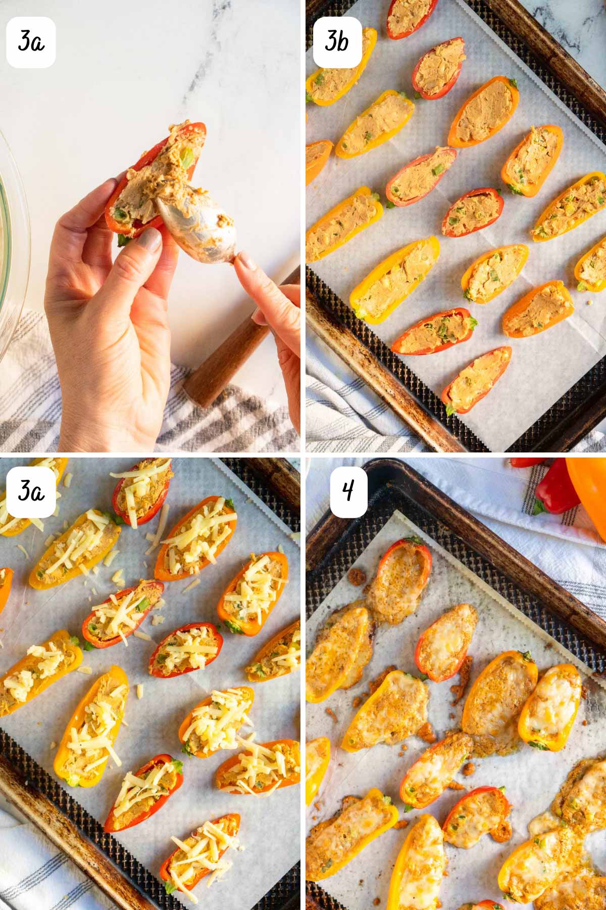A person filling the mini peppers with the cheese mixture and the filled peppers on a baking sheet.