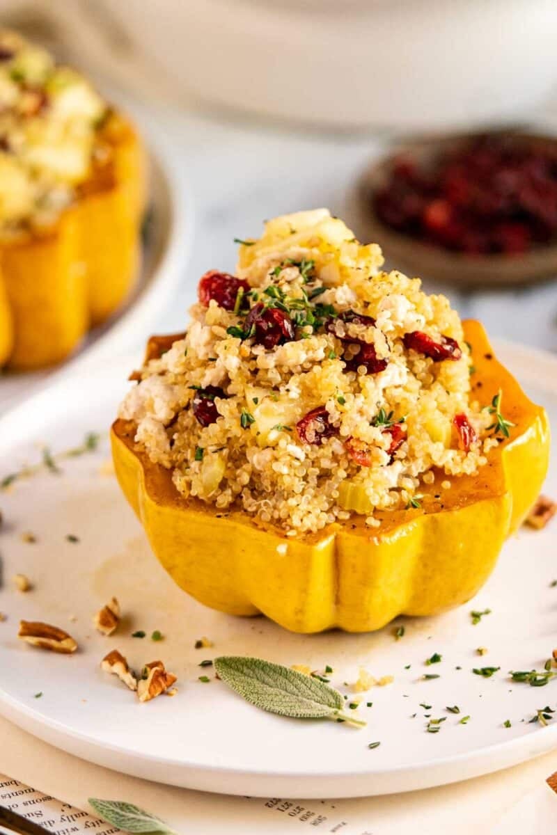 Ground turkey, quinoa, and cranberries stuffed in an acorn squash half.