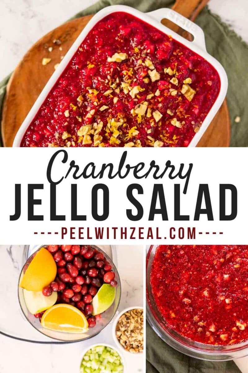 Cranberry jello salad in a bowl. Fresh cranberries, orange, and apple in a food processor.