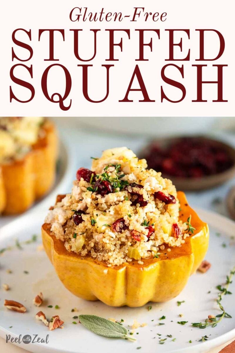 Quinoa and ground turkey in a squash bowl with cranberries.