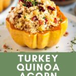Quinoa and ground turkey in an acorn squash bowl with cranberries.