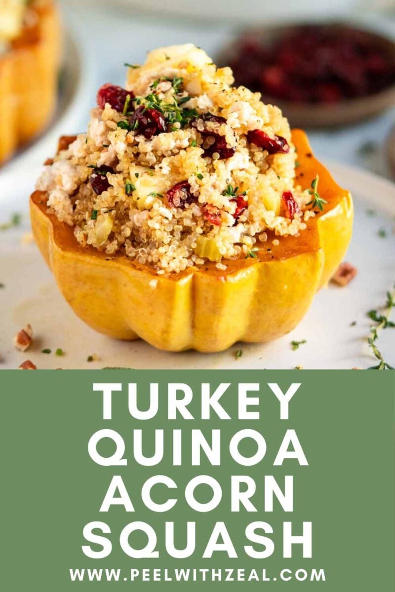 Quinoa and ground turkey in an acorn squash bowl with cranberries.