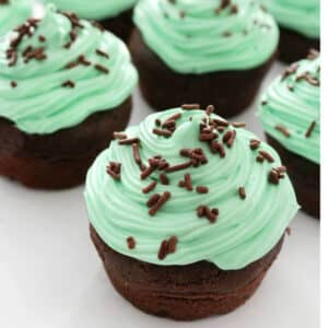 Chocolate cupcake with green frosting.