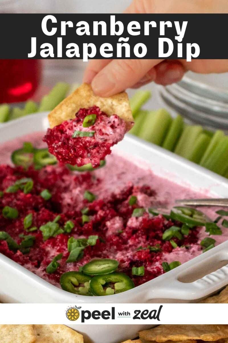 A hand dips a tortilla chip into a dish of cranberry jalapeno dip, garnished with sliced green onions and jalapeños for a vibrant, flavorful snack.