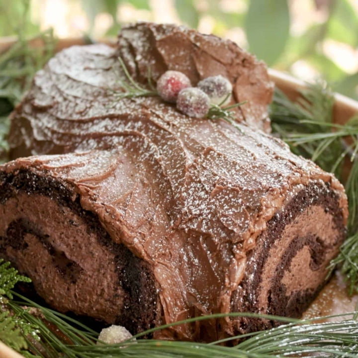 Chocolate yule log cake with chocolate filling on a plate.