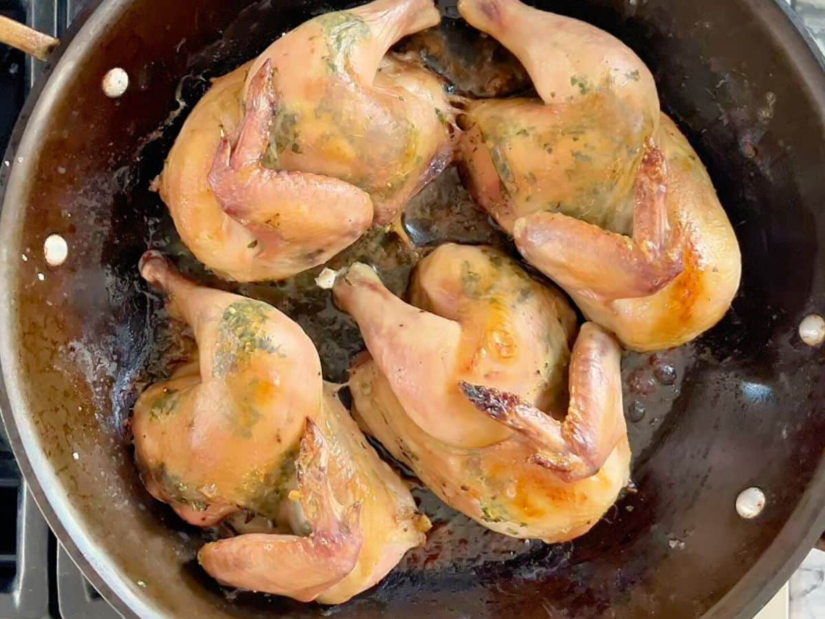 Four roasted Cornish hens with herbs, browned and cooked in a large, shallow metal pan on a stovetop-an easy Cornish hen recipe for flavorful, tender results.